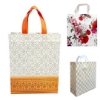 Picture of Non - woven Reuseable Ecofriendly Gift Bags ( Set of 23 pcs) ( XL size)