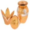 Picture of Gold-Silver Plated Pooja Kalash